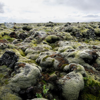 ijsland 2013